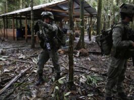 Gobierno de Petro bombardea la selva colombiana y deja 19 guerrilleros muertos