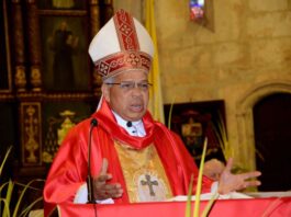El Vaticano confirma la destitución de Francisco Ozoria como arzobispo de Santo Domingo