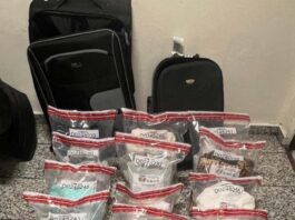 DNCD interviene francés con 55 prendas de vestir impregnadas de presunta cocaína