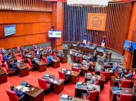Senado aprueba en única lectura reforma al Código Procesal Penal