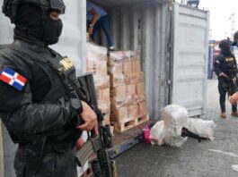 DNCD refuerza operativos de interdicción en puertos y aeropuertos por temporada navideña