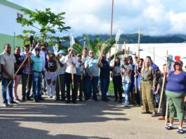 FEDA dona 120,000 plántulas de café y herramientas a productores desde Arroyo Cano hasta Los Fríos