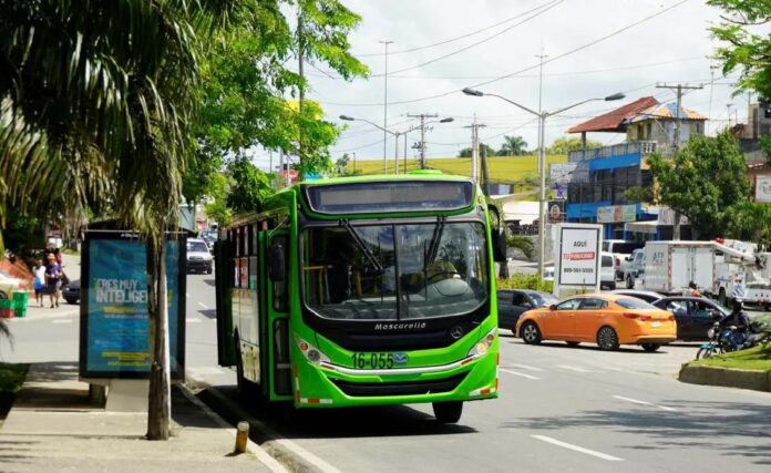OMSA anuncia horario especial de sus autobuses para Fin de Año y Año Nuevo