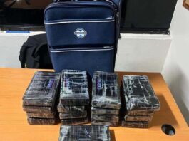 DNCD detiene ciudadano alemán en el AILA con 17 paquetes de supuesta cocaína
