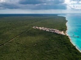 Tribunal falla a favor del Estado en caso de expropiación de terrenos del Parque Cotubanamá
