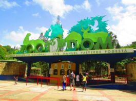 Zoológico Nacional aclara que donación de animales desde Puerto Rico no incluye especies venenosas