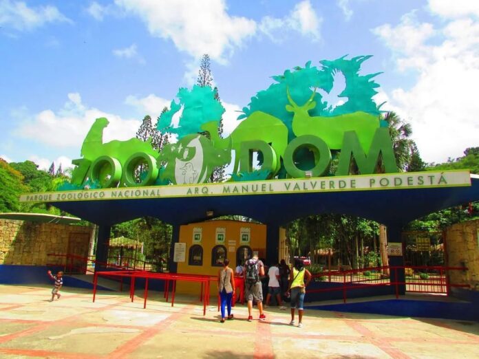 Zoológico Nacional aclara que donación de animales desde Puerto Rico no incluye especies venenosas