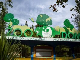 Medio Ambiente autoriza ingreso de especies exóticas al Zoológico Nacional
