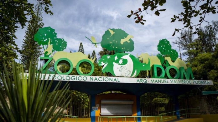 Medio Ambiente autoriza ingreso de especies exóticas al Zoológico Nacional