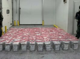 Detienen hombre que era perseguido por el decomiso de un alijo de 918 paquetes de cocaína en Boca Chica