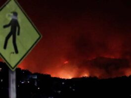 Chile: Boric decreta estado de catástrofe por incendios