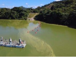 Denuncian contaminación en la Presa de Hatillo y exigen acciones urgentes