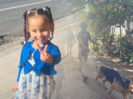 Unidades caninas del FBI y la INL se integran a la búsqueda de Brianna Genao
