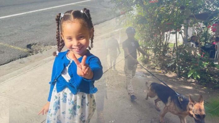 Unidades caninas del FBI y la INL se integran a la búsqueda de Brianna Genao
