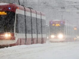 Toronto, la mayor ciudad de Canadá, paralizada por la caída de 60 centímetros de nieve