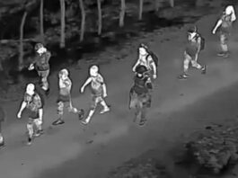 Localizan y detienen con drones 15 indocumentados en Dajabón