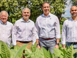 Exportaciones de tabaco de RD se incrementan más de 1,000 millones de pesos en 2025, informa Intabaco