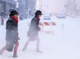 Nueva York reporta 18 muertos por histórica ola de frío