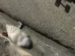 Encuentran recién nacida abandonada en contén en San Juan
