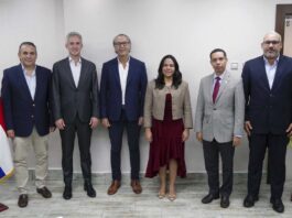 Banco Interamericano de Desarrollo y Empresa de Transmisión Eléctrica Dominicana avanzan en estructuración financiera
