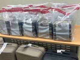 DNCD arresta dos serbios e interviene alijo de 75 paquetes presumiblemente cocaína