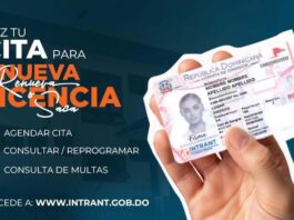 INTRANT habilita citas en línea para tramitar la nueva licencia de conducir