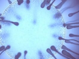 Ciencia: eyacular regularmente mejora la calidad del esperma