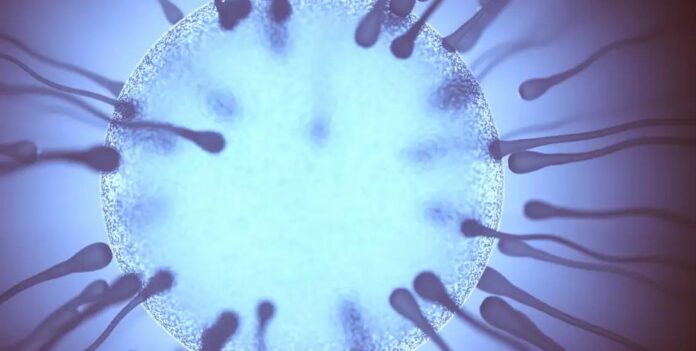 Ciencia: eyacular regularmente mejora la calidad del esperma