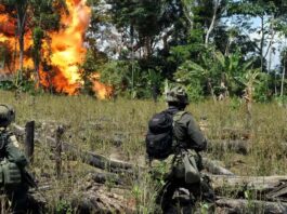 Colombia: seis disidentes de las FARC mueren en combates