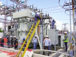 Mantenimientos programados en plantas eléctricas no comprometen el suministro, afirma el ministro Joel Santo