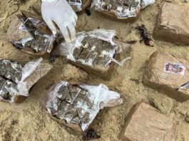 Autoridades interceptan 19 pacas de hachís en las costas de Miches