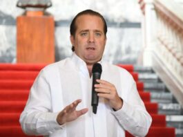 Paliza reafirma postura del PRM sobre alianzas y descarta compromisos individuales