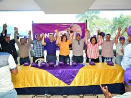 Proyecto presidencial de Gonzalo Castillo realiza masivos encuentros durante este fin de semana