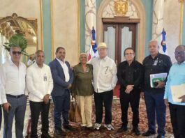 Abinader recibe comisión de la ANPA en el Palacio Nacional