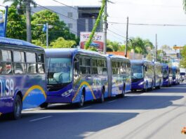 Nuevos autobuses de la OMSA comienzan a operar este domingo