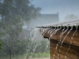Indomet: aguaceros, tormentas eléctricas y ráfagas de viento este sábado