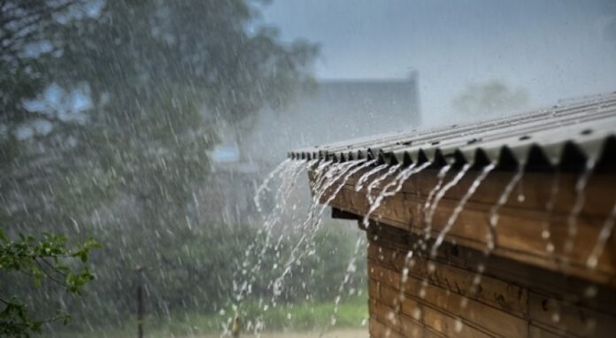 Indomet: aguaceros, tormentas eléctricas y ráfagas de viento este sábado