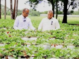 FEDA y Universidad ISA buscan impulsar la innovación tecnológica en el campo