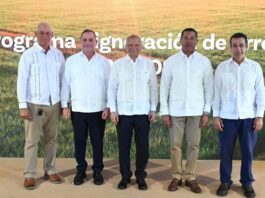 Banreservas destina RD 12,000 millones para financiar producción de arroz 2026-2027