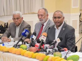 Baní acoge Expo Mango 2026 y proyecta exportar 10 millones de cajas