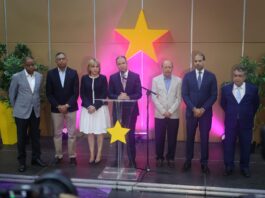 PLD denuncia falso plan de austeridad y advierte sobre riesgo a la competencia democrática