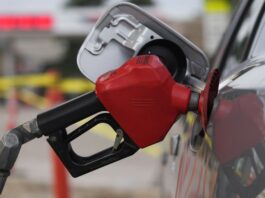 Gobierno congela precios de los combustibles