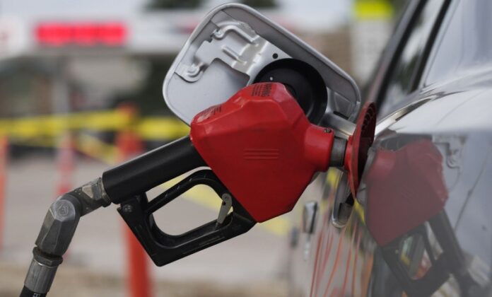 Gobierno congela precios de los combustibles