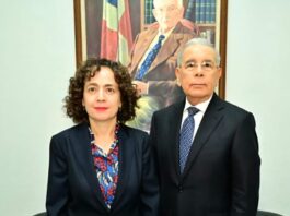 Embajadora de España visita a Danilo Medina en la sede del PLD