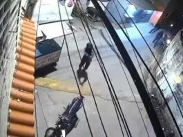 Enfrentamiento a tiros deja un sargento de la policía muertos y dos presuntos delincuentes