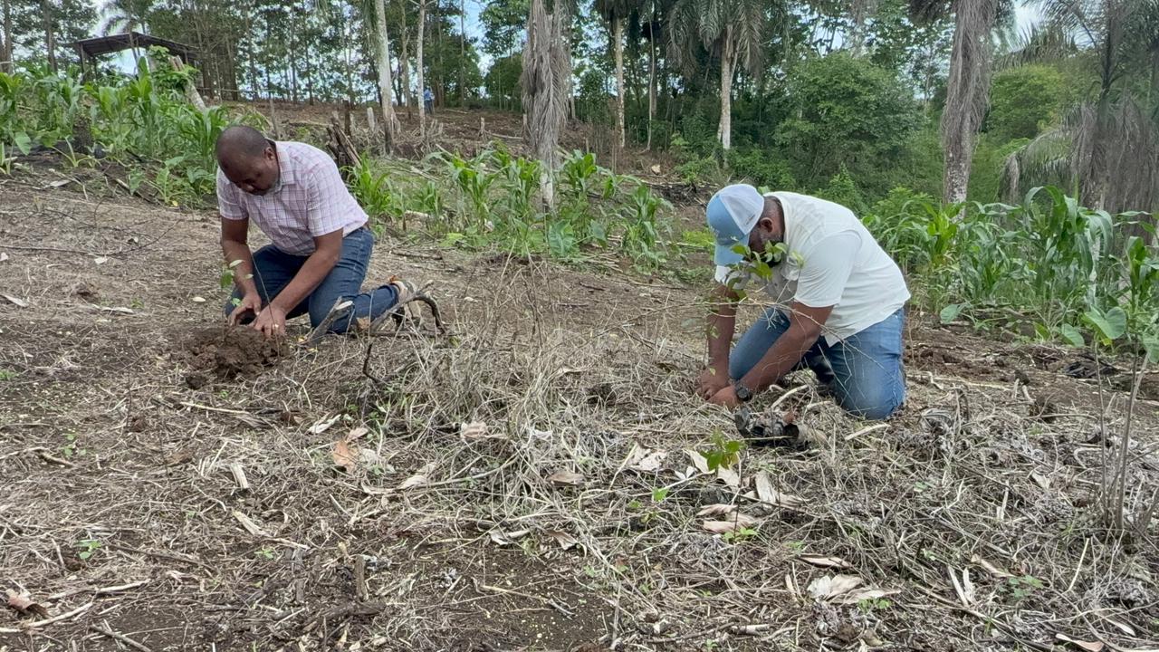 Medio Ambiente y Alcaldía realizan jornada de reforestación en zona depredada en Río Boyà Medio Ambiente y Alcaldía realizan jornada de reforestación en zona depredada en Río Boyà