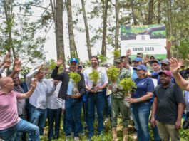 Senado realiza jornada de reforestación en la cuenca alta del río Nizao y establece su segundo bosque institucional
