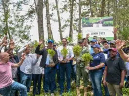 Senado realiza jornada de reforestación en la cuenca alta del río Nizao y establece su segundo bosque institucional