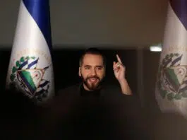 Bukele inscribe precandidatura para tercer mandato, según partido