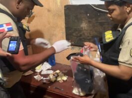 DNCD incauta drogas, armas y vehículos durante operativos en Nagua, Río San Juan y Samaná
